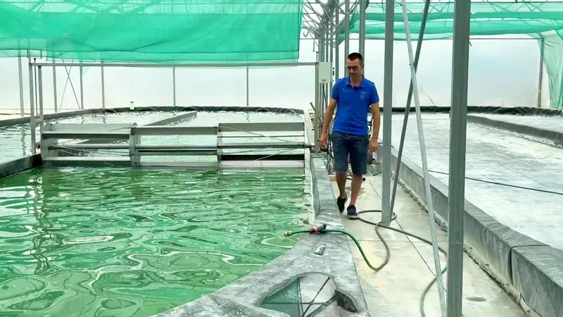 Spirulina is green — and rightly so — © France 3 Périgords — Colyne Rongère & Pascal Tinon