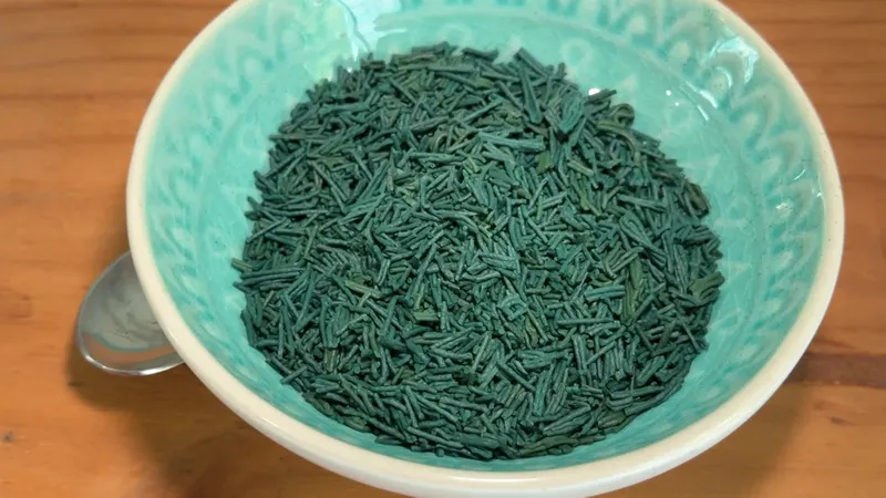 This “miracle” food appears as flakes, tablets, or twigs — © France 3 Périgords — Colyne Rongère & Pascal Tinon