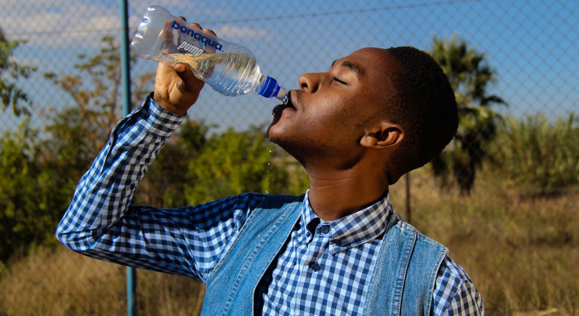 ʼI stopped drinking water from plastic bottles three years ago and my blood test results shocked my own doctorʼ : a toxicologist explains what microplastics are really doing inside your body - Iowa Park Leader